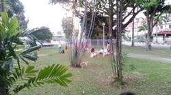 Toh Estate (D17), Detached #460429821